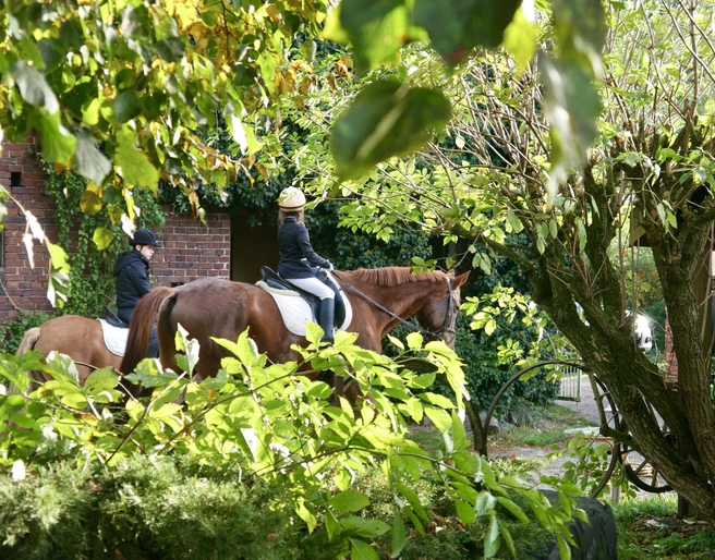 Reiten im Grünen