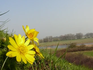 Blick vom Burgberg in Lebus auf die Kirche und die Oder