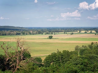 Ausblick Falkenberg von der Carlsburg