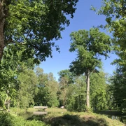 Park Wollup