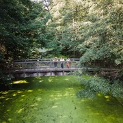 Brücke Wupatz Lehrpfad