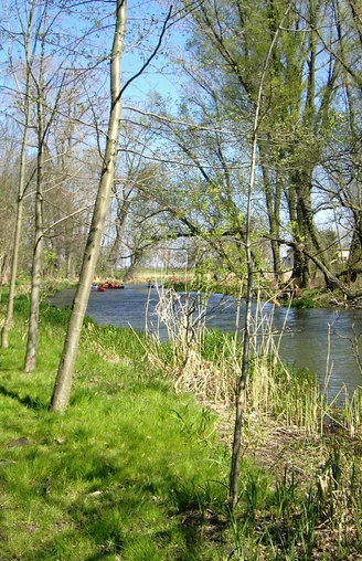 Kanu, Alte Oder, Quappendorf