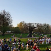 Kulturpark am Strausee