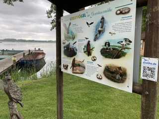 Birdwatching an der Groß Schauener Seenkette