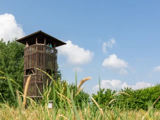 Birdwatching an der Groß Schauener Seenkette