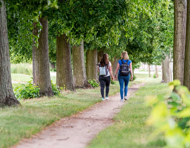 Lindenallee Neubarnim
