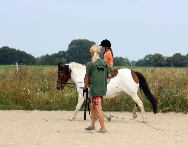 Reitunterricht an der Longe