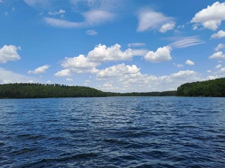 Angeln am Ufer des Springsees