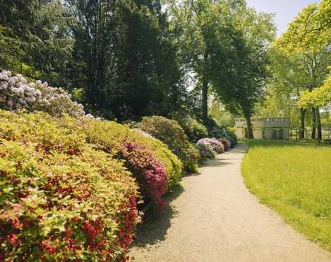 Paradiesgarten im Botanischen Garten