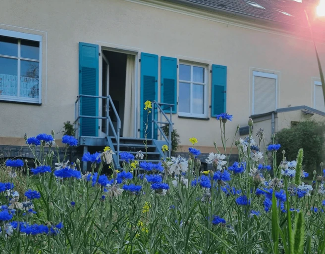 Ferienwohnung "Auszeit mini"