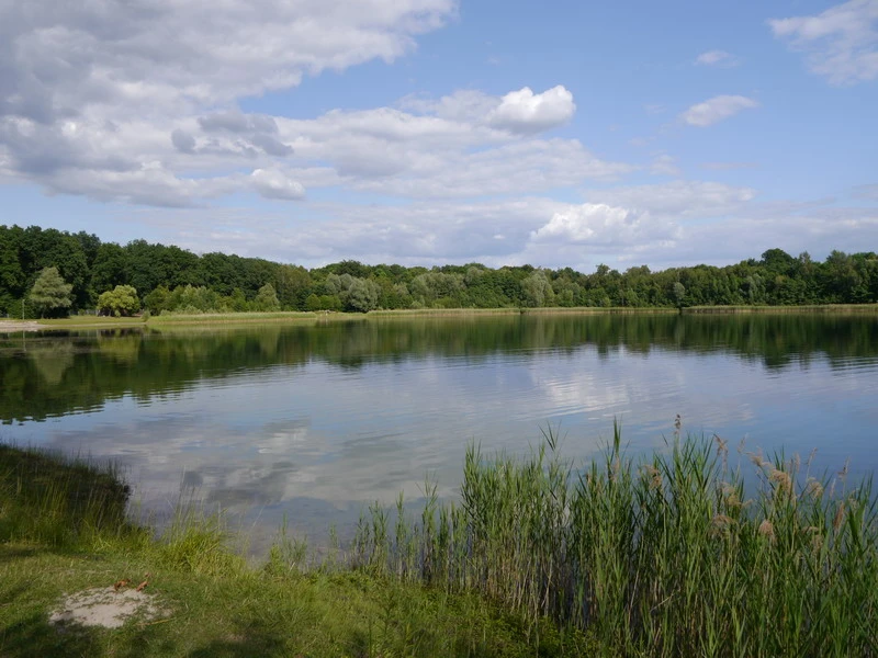 Nymphensee in Brieselang