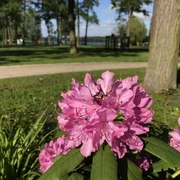 Kurpark Bad Saarow