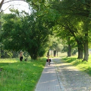 R1 bei Obersdorf
