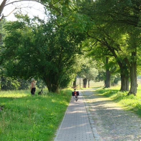 R1 bei Obersdorf