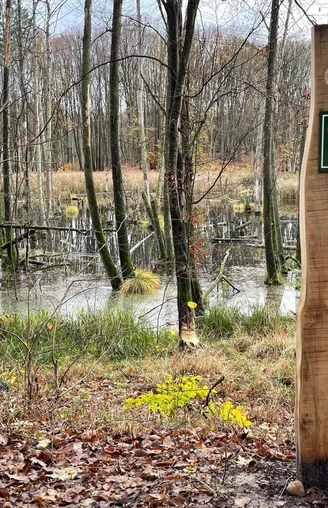 Wanderroute "Abenteuer mit Stobbi"