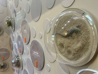 Ausstellung im Besucherzentrum Burg Storkow (Mark)