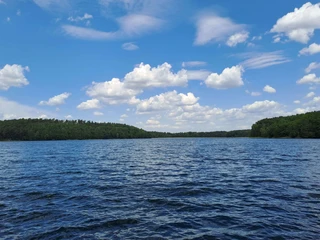 Springsee