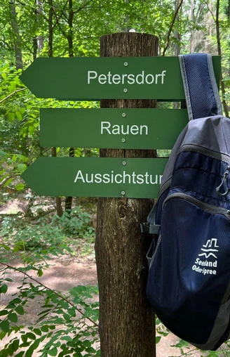 Wanderung durch die Rauener Berge