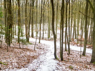 Wanderung Rauener Berge