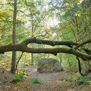 Markgrafensteine in den Rauener Bergen