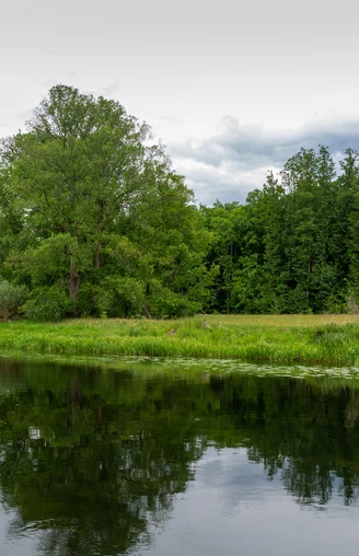 Blick auf den Maxsee