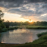 Birdwatchin an der Ziltendorfer Niederung