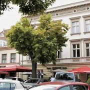 Blick auf das Hotel und Restaurant