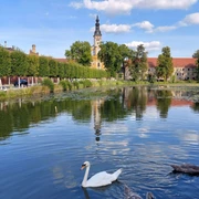 Klosterteich Neuzelle