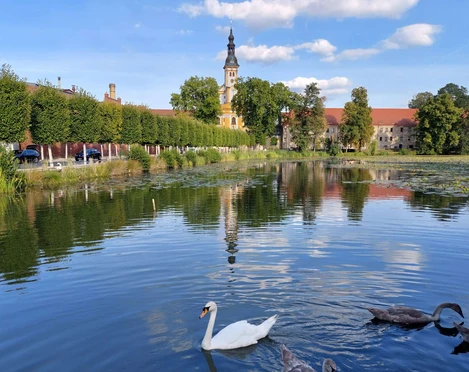 Klosterteich Neuzelle