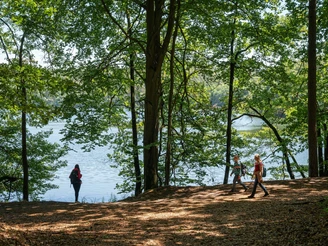Wirchensee
