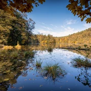 Naturpark Schlaubetal