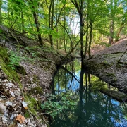 Rundweg Schlaubemühle