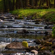 Rundweg Kupferhammer-Siehdichum