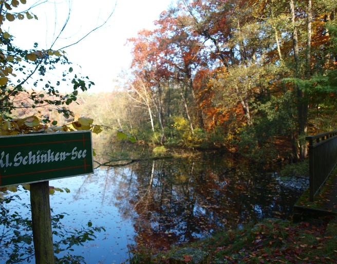 Schinkensee