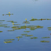 Blick auf den Katharinensee