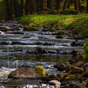 Fischtreppe Kupferhammer