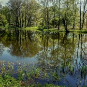 Schlosspark Plaue