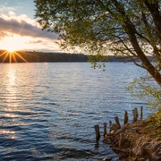Straussee