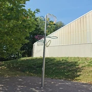 Basketballbaum