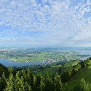 Rigi Rotstock