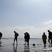 Entdecke das Watt - Geführte Wattwanderung im Nordseebad Otterndorf