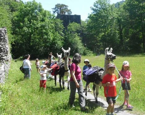 Lamatrekking mit Kindern - Naturschutzgebiet Weissenau