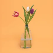 TiT 25 26 Nora Nora Nora 2560x1920