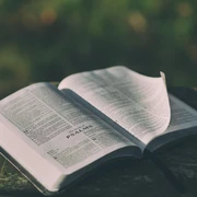 Bible 1846174 1280
