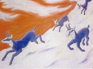 Urwyler gamsen in gefahr