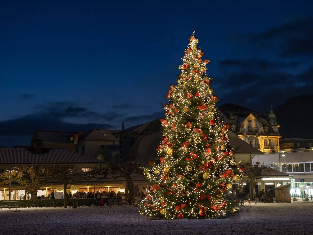 Grosser Weihnachtsbaum in Interlaken