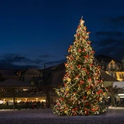 Grosser Weihnachtsbaum in Interlaken