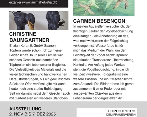 Flyer Wattenwil back