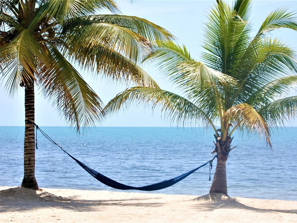 W7ti5nlcdcz7kbidiqgsstif9769wrbm