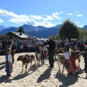 Jubiläumsviehschau 2022 (256)